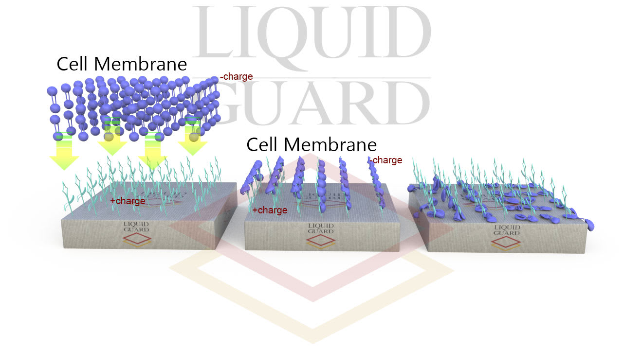 fonctionnement de liquid guard nano care