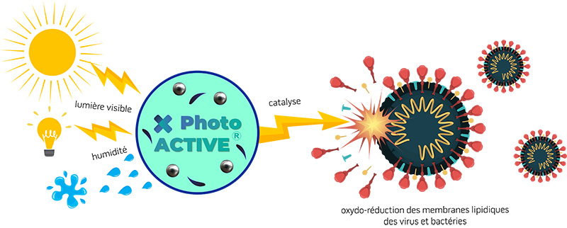 photoactive principe de fonctionnement catalyse d'oxydo reduction